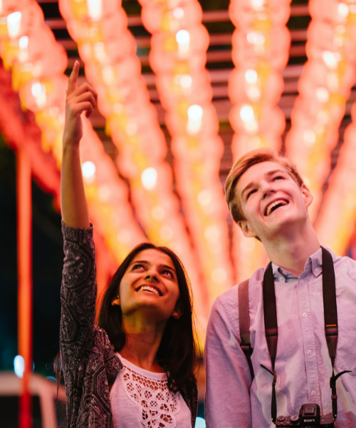 Tamil Translation Services