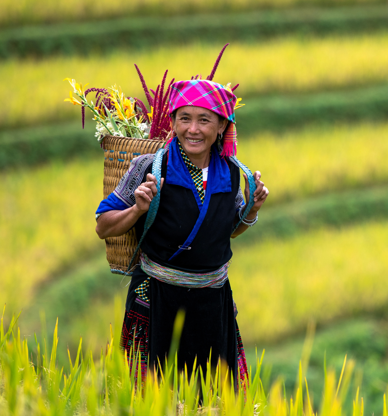 hmong translation services available