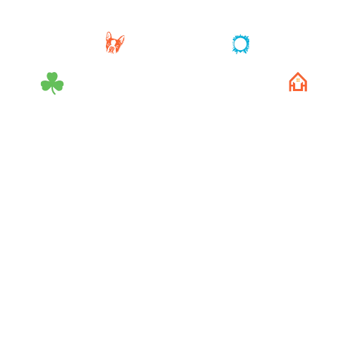 Cesco's Language Services in Boston