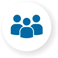 professional translation